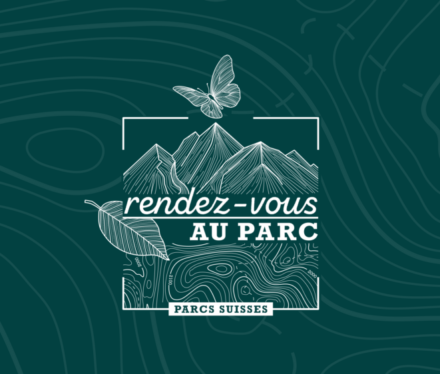 RTS Rendez-vous au parc