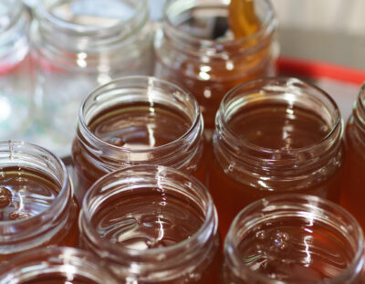 Miel de forêt - 500gr