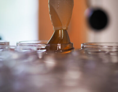 Miel de forêt - 250g