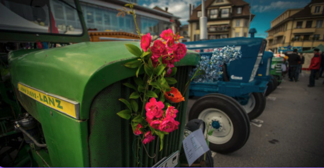 Foire de la St-Martin Payerne